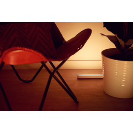 Philips Hue White & Color Ambiance Play weiß 2 St.