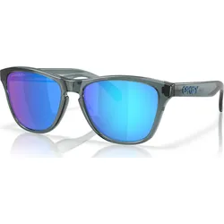 Oakley Frogskins S crystal black/sapphire polar (950805)