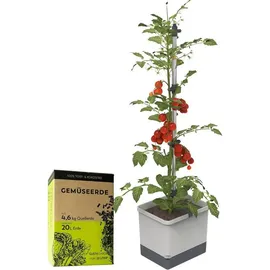 Gusta Garden Tom Tomato Pflanzentopf mit Rankhilfe 20 l