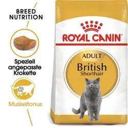 ROYAL CANIN British Shorthair Adult 2 kg