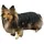 Fashion Dog Hunde-Regenmantel mit Fleecefutter Schwarz 65 cm 1 St