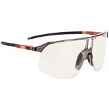 Julbo Density Sunglasses, Durchsichtig Reactiv/CAT0-3 HC
