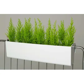 Vivanno Balkonkasten Balkona Classico inkl. Bewässerungssystem 80 x 20 x 22 cm weiß