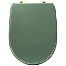 5five simply smart Simply Smart WC-Sitz Duo Grün