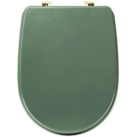 5five simply smart Simply Smart WC-Sitz Duo Grün