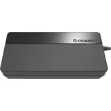 Giant Ladegerät Smart Charger (vollintegrierte Akkus) - 6A - 6A
