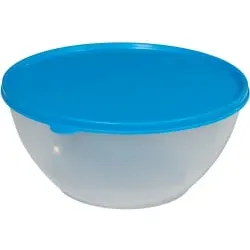 Frischhalte- und Gefrierdose, 0,65 Liter  10710699 , transparent