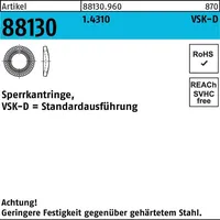 Reyher Sperrkantring R 88130 VSK-D 12x21x2,5 1.4310 500 Stück