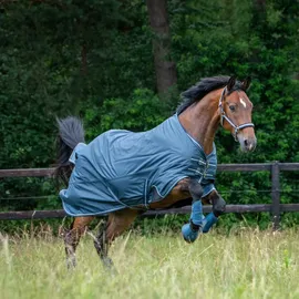 Eskadron Gamaschen 1 Paar Lila/Pink