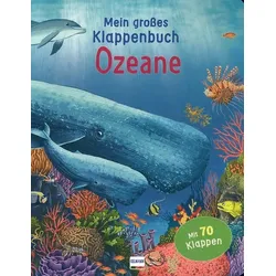 Ozeane - Mein großes Klappenbuch