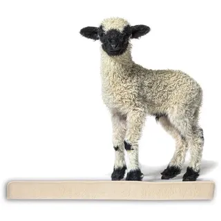 BigDean Zugluftstopper für Fenster 100cm - 100% Schurwolle - Beige - Luftzugstopper Durchzugstopper Windstopper - Made in Germany