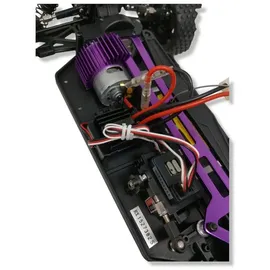 AMEWI Buggy Booster RTR 22031