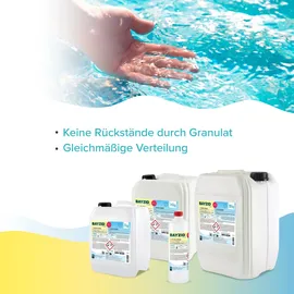 Bayzid Bayzid® pH Plus flüssig