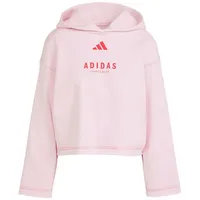 Adidas All Szn Loose Graphic Kapuzenpullover True Pink S
