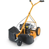 AS-Motor AS Motor 21 4T Briggs & Stratton