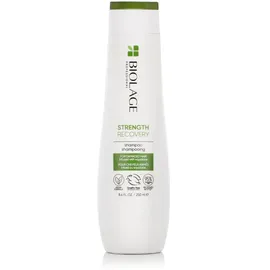 Matrix Strength Recovery Shampoo für geschädigtes Haar 250 ml