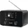 TechniSat DigitRadio 550 IR