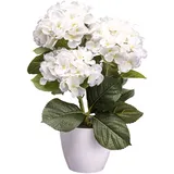 Creativ green Kunstblume CREATIV GREEN "Hortensienbusch", weiß, H:32cm, Obermaterial: 85% Polyester, 15% Polyethylen, Kunstpflanzen