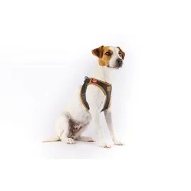 Curli Apple Leather Geschirr schwarz 2XS