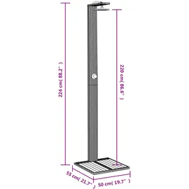 vidaXL Gartendusche schwarz 50x55x224 cm