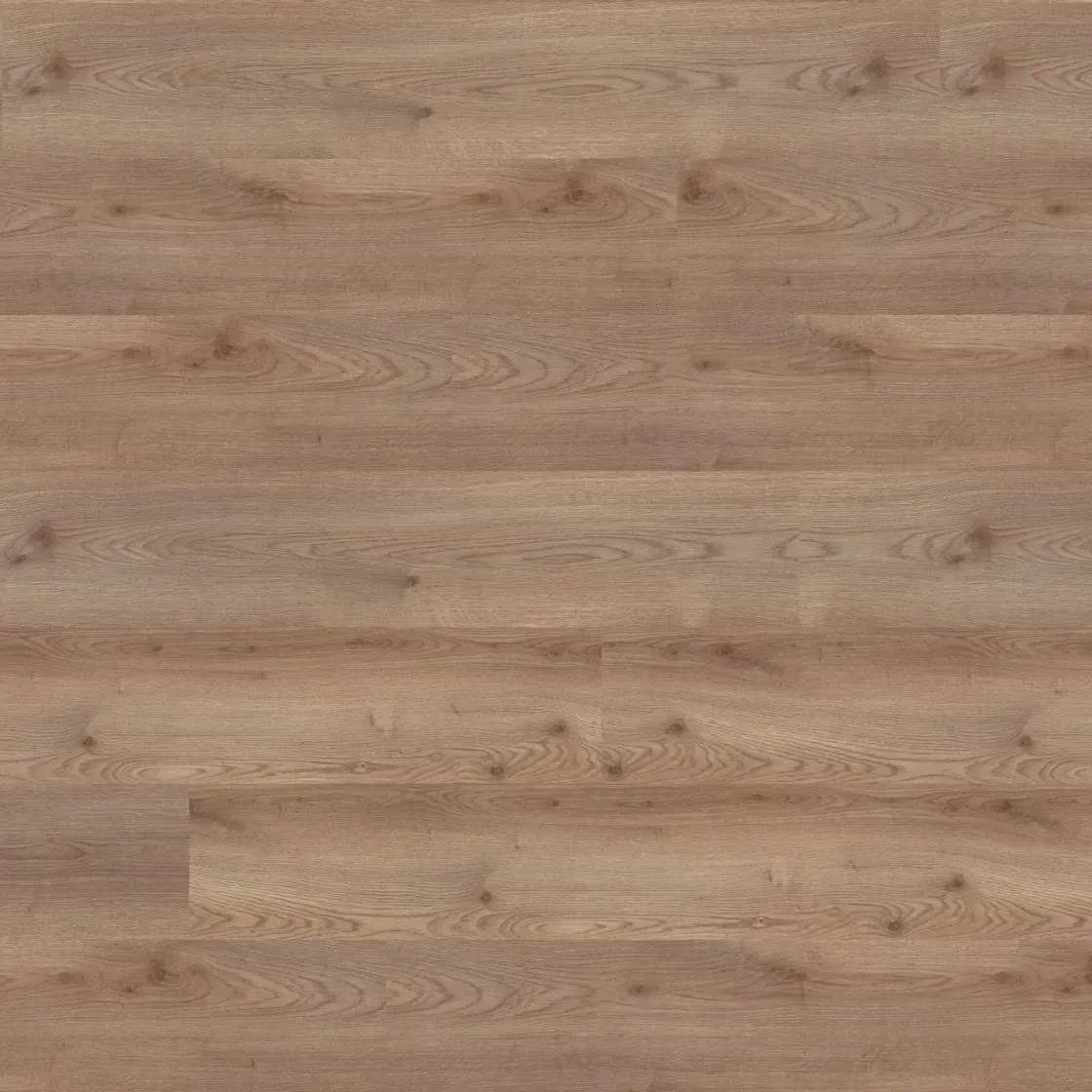 Wineo 1500 wood XL - Ravenna Oak Nature PL15215WXL |...