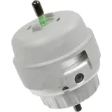 Lemförder Lagerung, Motor