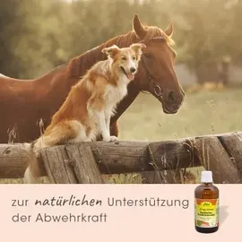 cdVet Ägyptisches Schwarzkümmelöl 100 ml
