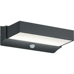 Außenwandleuchte Cuando in Weiß/Anthrazit max. 11 Watt Wandlampe