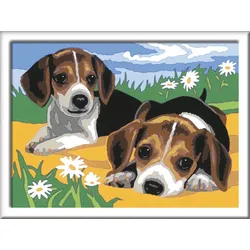 Ravensburger Beschäftigung - CreArt - Malen nach Zahlen  28329 - Jack Russel Welpen – Kinder ab 7 Jahren