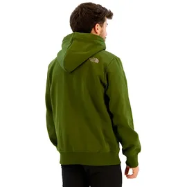 The North Face Hoodie Woodland Green/Transcend S