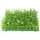 Europalms Buchsmatte 25 x 25 cm Grün/Weiß