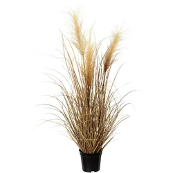 Kunstgras CREATIV GREEN "Pampasgras", beige (creme), H:76cm Ø:20cm, Kunststoff, Kunstpflanzen