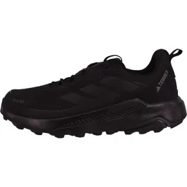 Adidas Terrex Anylander R.RDY Schuhe (Größe 44.5 - schwarz)