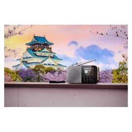 Sharp DR-P520 grau