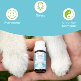 Wolfsbacher Natur Bachblüten Notfall 10 g