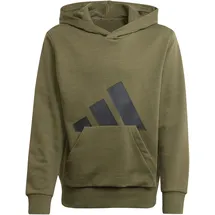 Adidas Essentials Big Logo Kapuzenpullover Olive Strata / Black 140