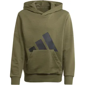 Adidas Essentials Big Logo Kapuzenpullover Olive Strata / Black 140