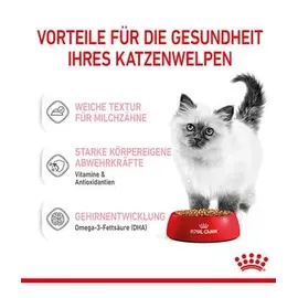 Royal Canin Kitten Instinctive in Soße 12 x 85 g