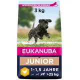 Eukanuba Junior Large Breed Chicken 3 kg