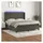 vidaXL Boxspringbett mit Matratze & LED Dunkelgrau 180x200 cm Samt