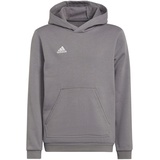 Adidas Entrada 22 Sweat, Hoodie Kinder