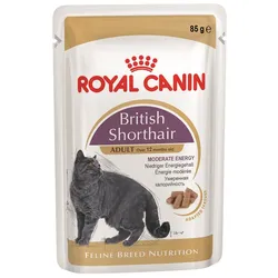 ROYAL CANIN British Shorthair Gravy 48x85 g