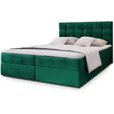 masseno GLOS 160 x 200 cm H2 Grün