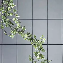 Siena Garden Spalier 3-strebig 150 x 45 cm Braun