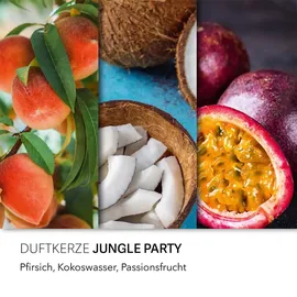 fragrance and style gmbh Jungle Party Duftkerze 510 g lila