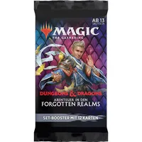 Wizards of the Coast Abenteuer in den Forgotten Realms