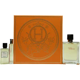 Hermès Terre d'Hermès Eau de Toilette 100 ml + Shower Gel 40 ml + Eau de Toilette 15 ml Geschenkset