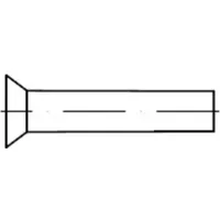 Industrial Quality Supplies DIN 661 Senkniete, ST 3x5 HP