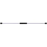 FLEXI-BAR FLE-E000003 INTENSIV, hochbelastbarer Schwingstab von Flexi-Sports mit Einführungs-DVD und Trainingsplan, Blau