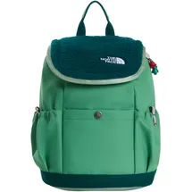 The North Face Y MINI EXPLORER grün